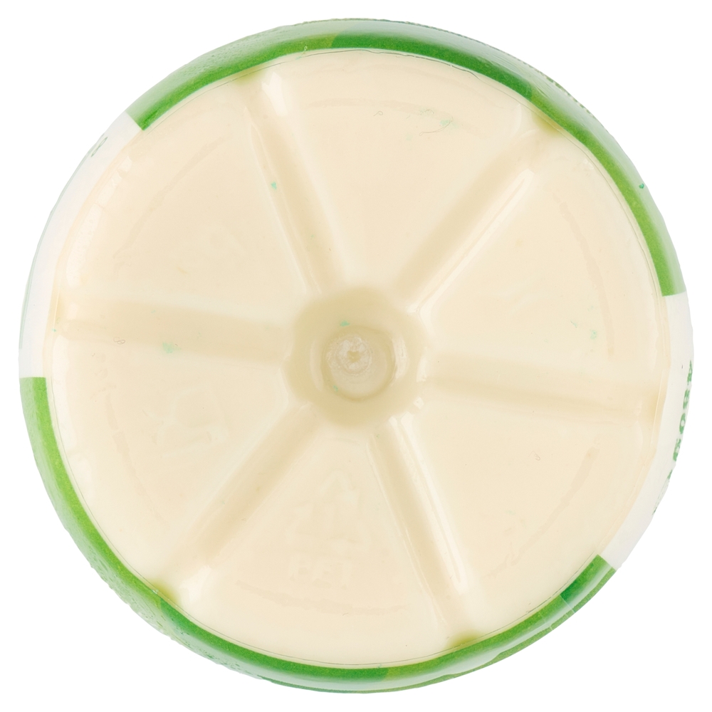 Milk Kefir Multifrutti 480 g